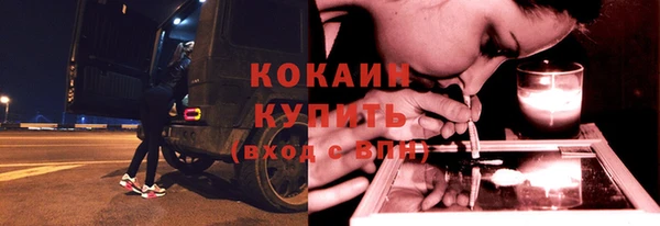 стаф Заводоуковск