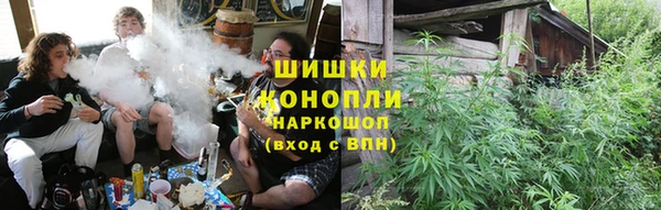 стаф Заводоуковск