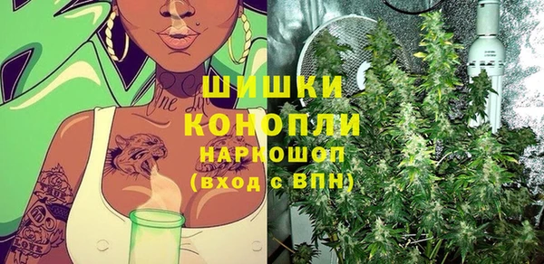 стаф Заводоуковск
