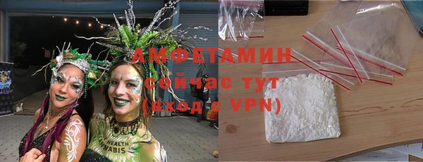 стаф Заводоуковск