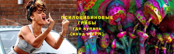 стаф Заводоуковск
