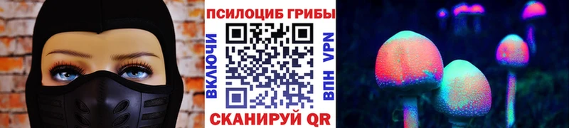 Купить  Переславль-Залесский  Псилоцибиновые грибы мицелий 